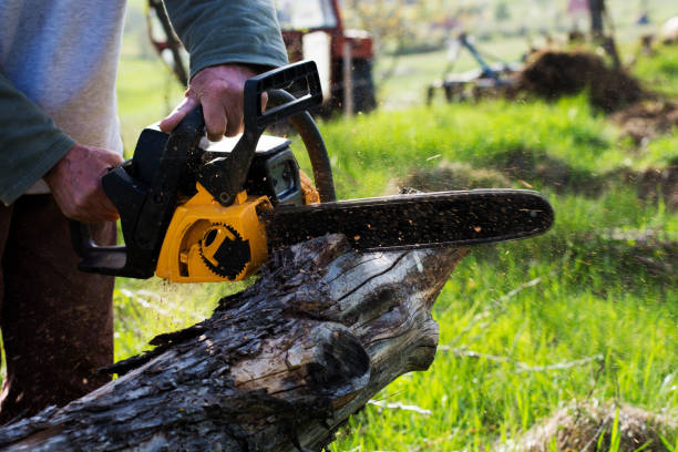 Best Pest Control for Lawns  in East Gaffney, SC